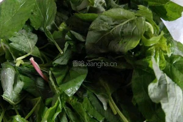 白苋菜饺子的做法图解1