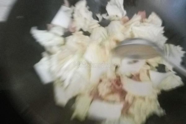 土豆白菜炖肉的做法图解5