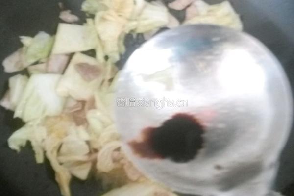 土豆白菜炖肉的做法图解6