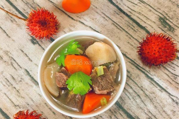 牛肉萝卜汤的做法图解12