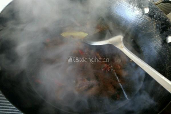 番茄萝卜炖牛肉的做法图解14