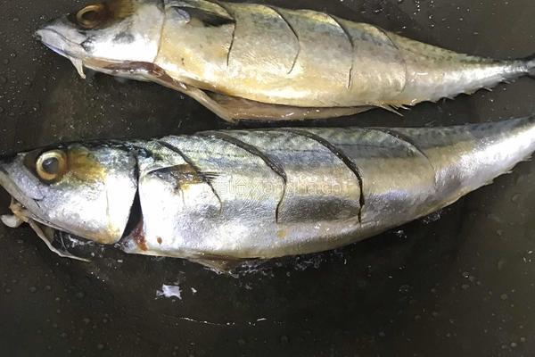 红烧青占鱼的做法图解5