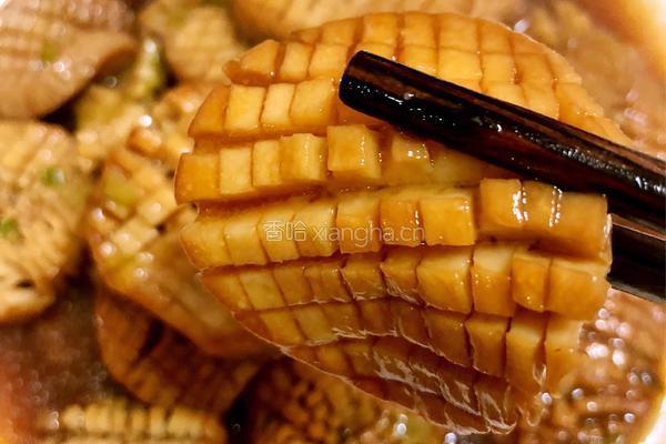 蚝油杏鲍菇的做法图解7