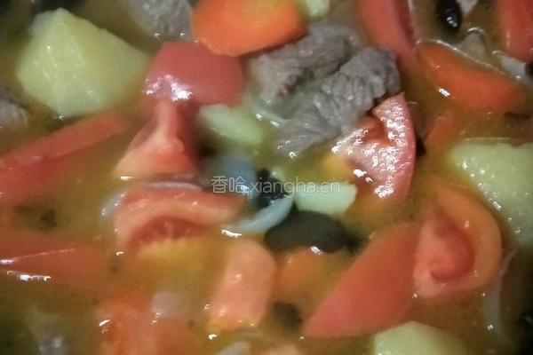 罗宋汤的做法图解17