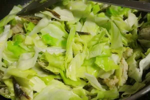 鱼干包菜咸饭(菜饭)的做法图解6