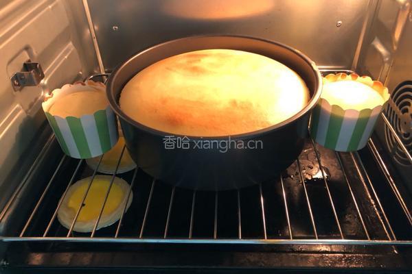 轻芝士蛋糕的做法图解10
