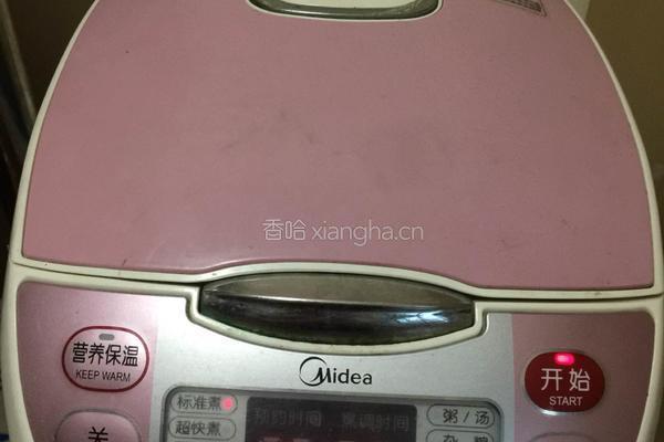 电饭煲盐焗鸡的做法图解5