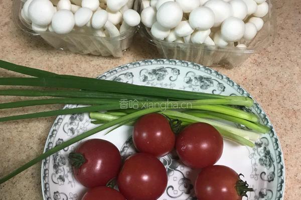 茄汁白玉菇的做法图解1