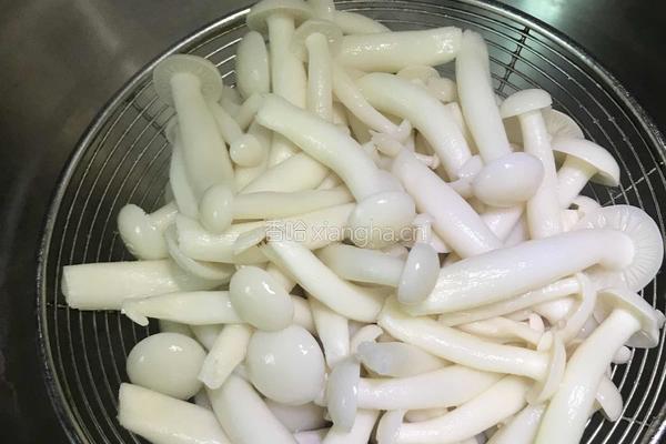茄汁白玉菇的做法图解6