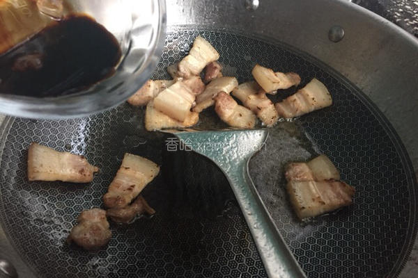 冬日御寒之白萝卜炖五花肉的做法图解4