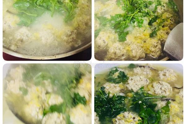 香茹豆腐肉丸汤的做法图解9
