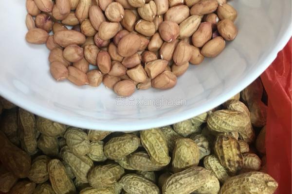 生地花生水鸭汤的做法图解3