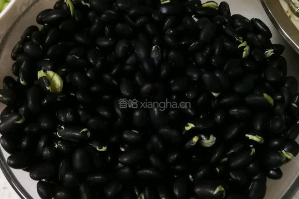 老北京淹豆儿的做法图解4