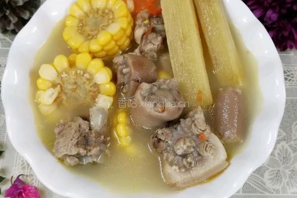 甘蔗玉米红罗卜猪尾汤的做法图解8