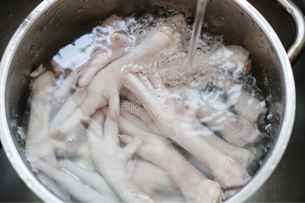 清汤鸡爪的做法图解3