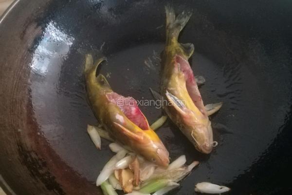 黄腊丁平菇豆腐汤的做法图解6