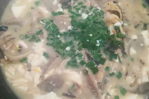 黄腊丁平菇豆腐汤的做法图解9
