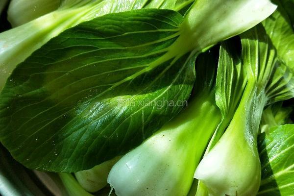 香菇扒油菜的做法图解1