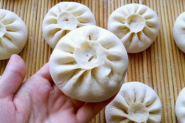 西葫芦木耳馅包子的做法图解21