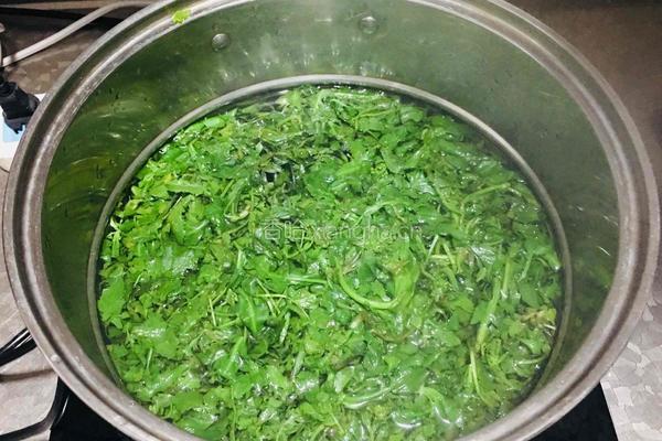 荠菜猪肉馅包子的做法图解7