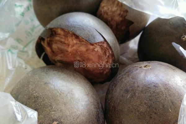 川贝柠檬膏的做法图解4