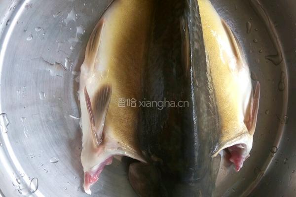 清蒸裸斑鱼的做法图解3