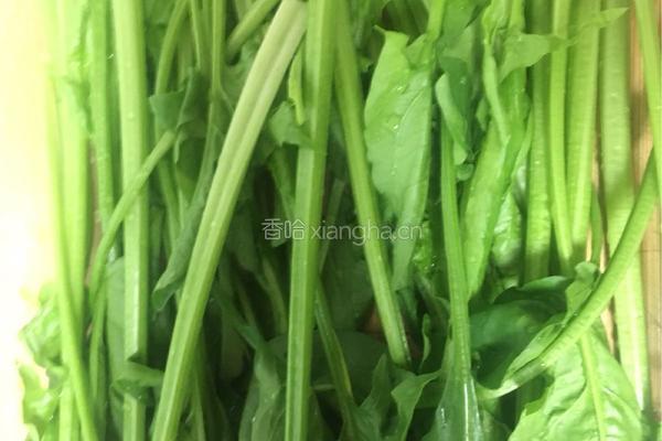 凉拌菠菜的做法图解3