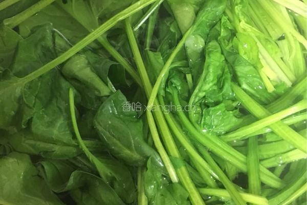 凉拌菠菜的做法图解4