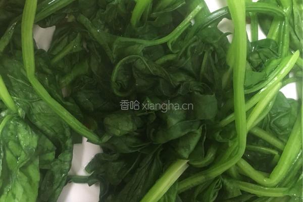 凉拌菠菜的做法图解5