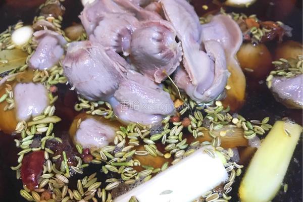卤汁鸡胗的做法图解5