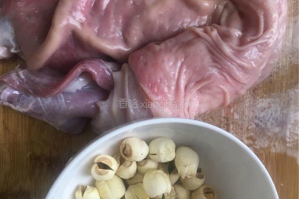 莲子猪肚汤的做法图解9