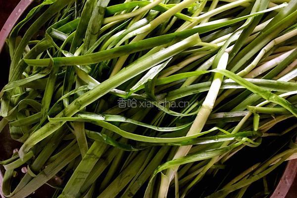 三鲜水饺的做法图解2
