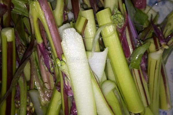 酱汁紫菜排的做法图解2