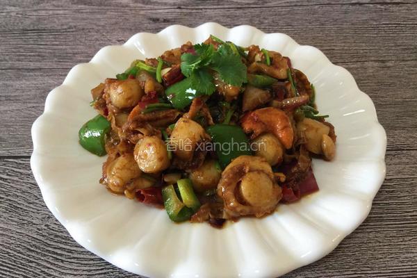 香辣扇贝肉的做法图解10