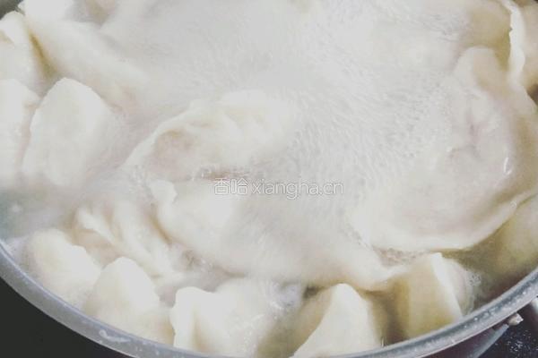 羊肉馅饺子的做法图解6