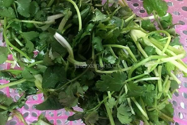 羊肉片炒香菜的做法图解2