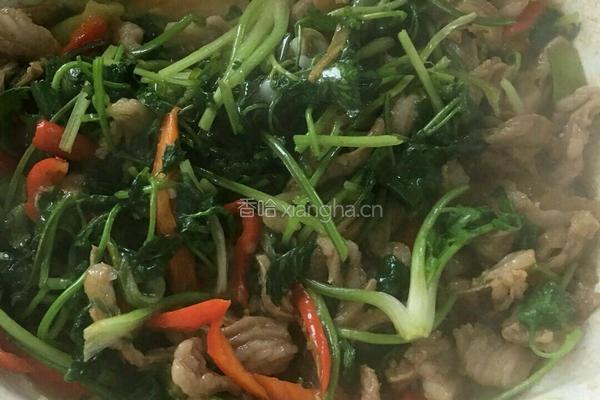 羊肉片炒香菜的做法图解11