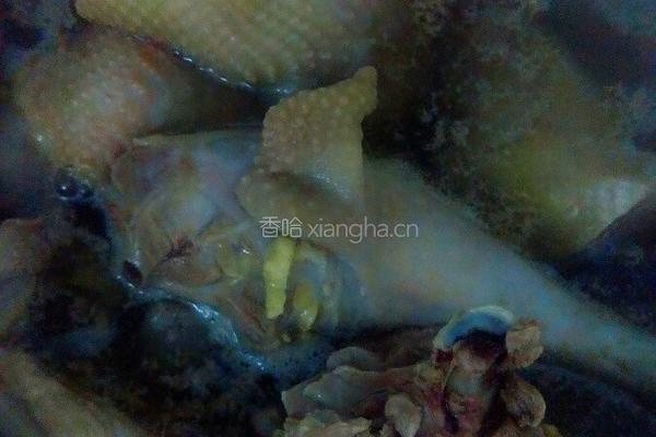 红枣枸杞鸡公煲的做法图解1