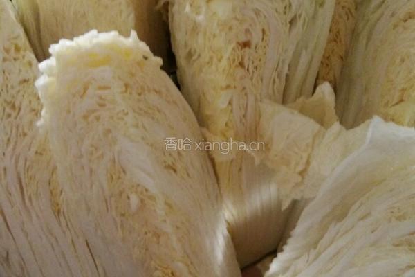 朝鲜辣白菜的做法图解1