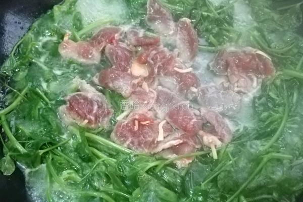 牛肉荷兰豆苗汤的做法图解9