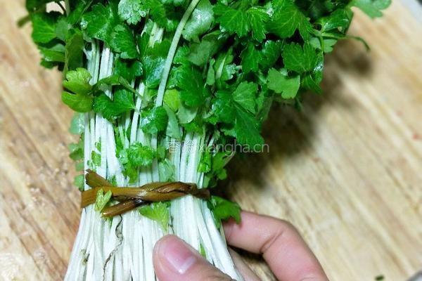 芹菜炒牛肉 的做法图解2