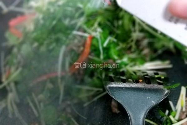 芹菜炒牛肉 的做法图解10