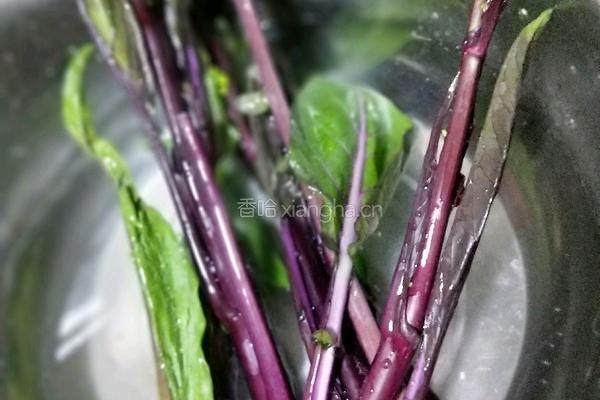 爆炒红油菜苔的做法图解1