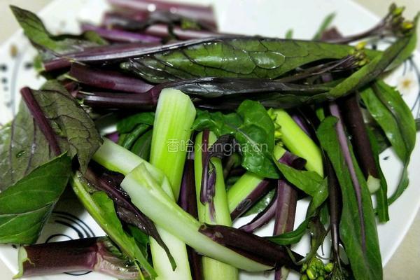 爆炒红油菜苔的做法图解2