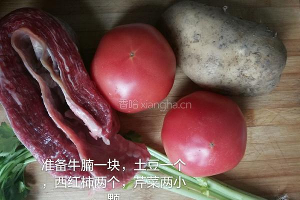 番茄牛腩煲的做法图解1