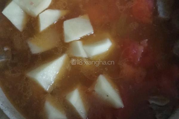 番茄牛腩煲的做法图解5
