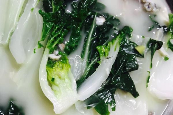 鲫鱼奶白菜汤