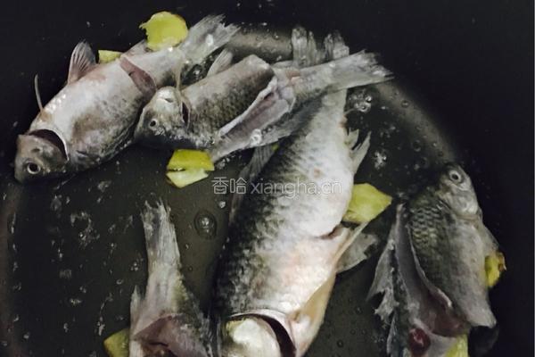 鲫鱼奶白菜汤的做法图解3