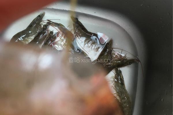椒盐虾的做法图解4