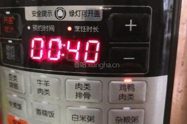 灵芝鸭汤的做法图解4